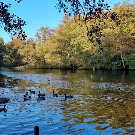 10 Person In Bogense-by Traum *